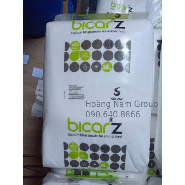 Sodium Bicarbonate Solvay